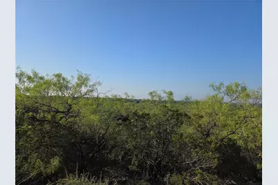 Lot 194 Plesant Valley Road, Mineral Wells, TX 75067 - Photo 7