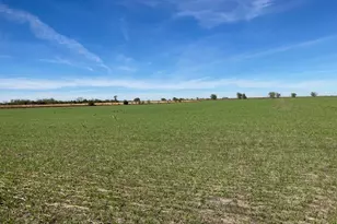 0000 Fm 198, Lake Creek, TX 75450 - Photo 1