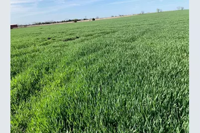 0000 Fm 198, Lake Creek, TX 75450 - Photo 3