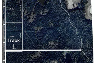 Tbd Cr 2975, Honey Grove, TX 75446 - Photo 1