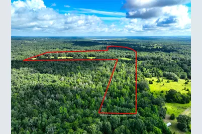 Tbd Fcr 280, Oakwood, TX 75855 - Photo 5