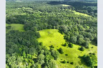 Tbd Fcr 280, Oakwood, TX 75855 - Photo 7