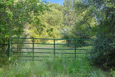 Tbd Tract 5 28.71 Ac Boren Road, Ringgold, TX 76261 - Photo 5