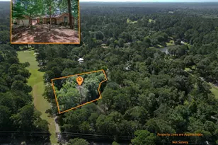 234 Spring Lake Knoll Trail, Holly Lake Ranch, TX 75765 - Photo 5