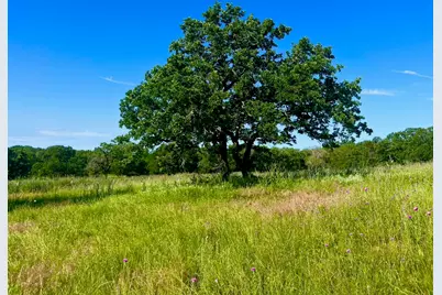 Lot 55 & 56 Kilkenny Road, Poolville, TX 76487 - Photo 5