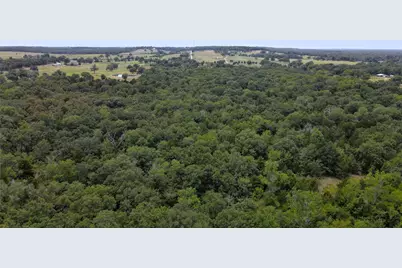 Tbd Cr 41514, Athens, TX 75751 - Photo 5