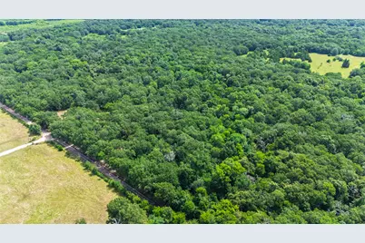 604 County Road 3561, Dike, TX 75437 - Photo 15