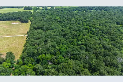 604 County Road 3561, Dike, TX 75437 - Photo 19