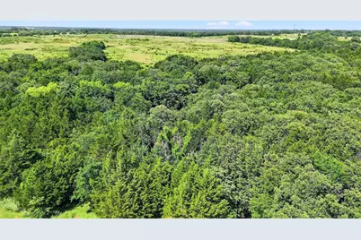 3+ Acres Sandusky Road, Whitesboro, TX 76273 - Photo 11