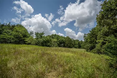 Tbd Cr-129 #5 Acres, Terrell, TX 75161 - Photo 3