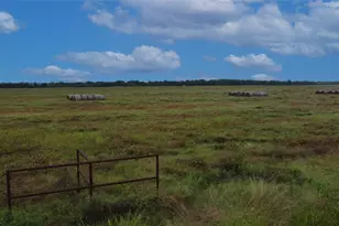 000 County Road 2105, Cooper, TX 75432 - Photo 1