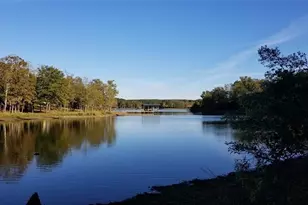 Lot 465 Cr-4710, LaRue, TX 75770 - Photo 17