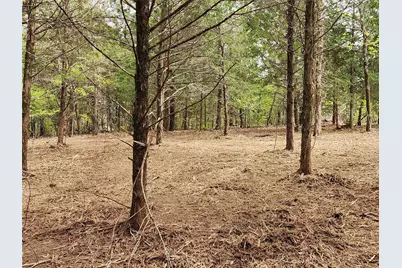 Lot 465 Cr-4710, LaRue, TX 75770 - Photo 5