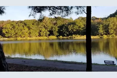 Lot 465 Cr-4710, LaRue, TX 75770 - Photo 21