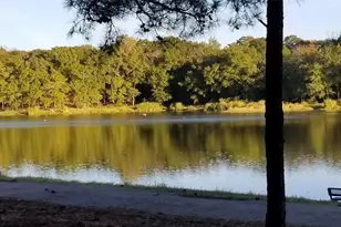 Lot 465 Cr-4710, LaRue, TX 75770 - Photo 21