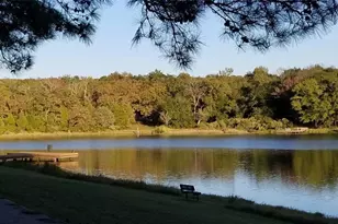 Lot 465 Cr-4710, LaRue, TX 75770 - Photo 19