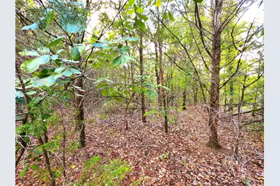Lot 465 Cr-4710, LaRue, TX 75770 - Photo 7