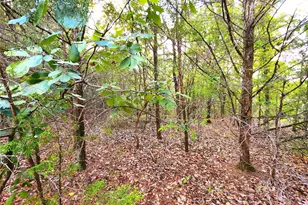 Lot 465 Cr-4710, LaRue, TX 75770 - Photo 7