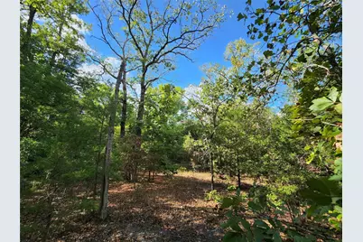 Lot 465 Cr-4710, LaRue, TX 75770 - Photo 11