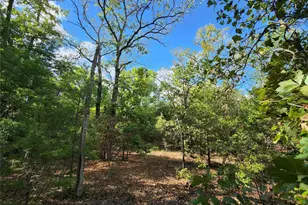 Lot 465 Cr-4710, LaRue, TX 75770 - Photo 11