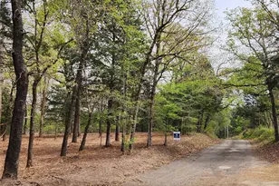 Lot 465 Cr-4710, LaRue, TX 75770 - Photo 3