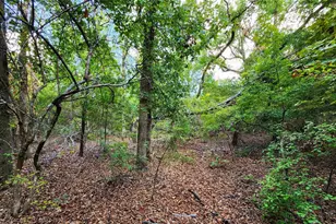 Lot 465 Cr-4710, LaRue, TX 75770 - Photo 9