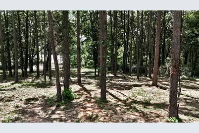 Lot 340 Grand View Drive, Athens, TX 75752 - Photo 5