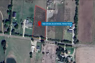 Tbd Cr 834, Blue Ridge, TX 75424 - Photo 1