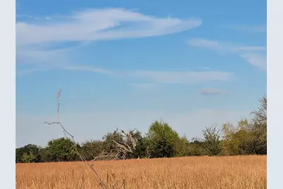 Tbd County Road 1304, Deport, TX 75435 - Photo 15