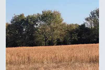 Tbd County Road 1304, Deport, TX 75435 - Photo 23