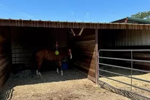 2901 Wind Mill Ct, Tolar, TX 76476 - Photo 31