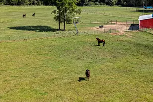 5989 Hwy 259, Diana, TX 75640 - Photo 35