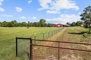 5989 Hwy 259, Diana, TX 75640 - Photo 27