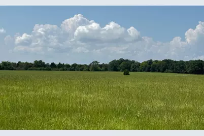 12675 County Road 2922, Eustace, TX 75124 - Photo 3
