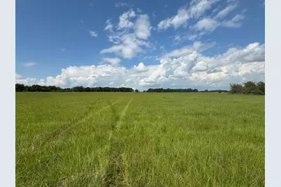 12675 County Road 2922, Eustace, TX 75124 - Photo 5