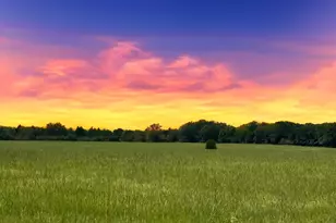 12675 Co Rd 2922, Eustace, TX 75124 - Photo 1