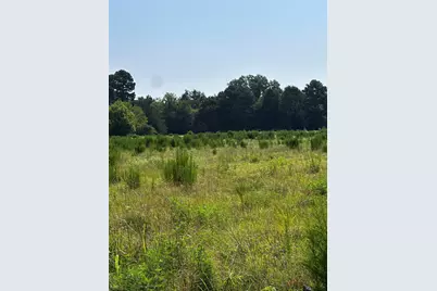 001 Fm-144, Daingerfield, TX 75638 - Photo 1