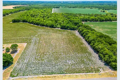 Tbd Fm 744, Malone, TX 76660 - Photo 33