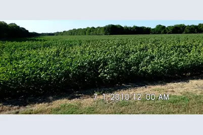 Tbd Fm 744, Malone, TX 76660 - Photo 5