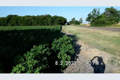 Tbd Fm 744, Malone, TX 76660 - Photo 3