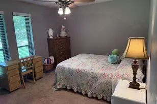 322 Willow Wood St, Murphy, TX 75094 - Photo 19