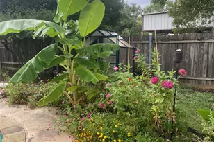 322 Willow Wood St, Murphy, TX 75094 - Photo 23