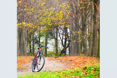 2620 Emerald Shallows Drive, McKinney, TX 75072 - Photo 37