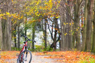 2620 Emerald Shallows Dr, McKinney, TX 75072 - Photo 37