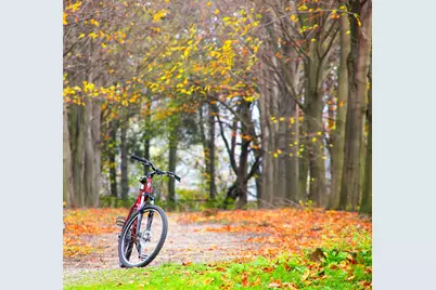 2620 Emerald Shallows Drive, McKinney, TX 75072 - Photo 21