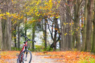 2620 Emerald Shallows Dr, McKinney, TX 75072 - Photo 21