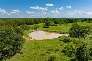 3641 Carpenter Rd, Nocona, TX 76255 - Photo 1