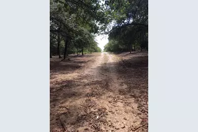 057 Blackjack Parkway, Nocona, TX 76255 - Photo 7