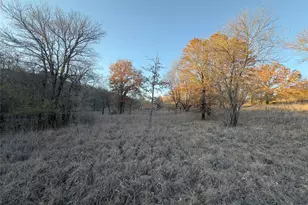 Lot 283 Cozy Cove Ct, Chico, TX 76431 - Photo 1