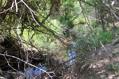 228 Private Road 2163, Iredell, TX 76649 - Photo 15